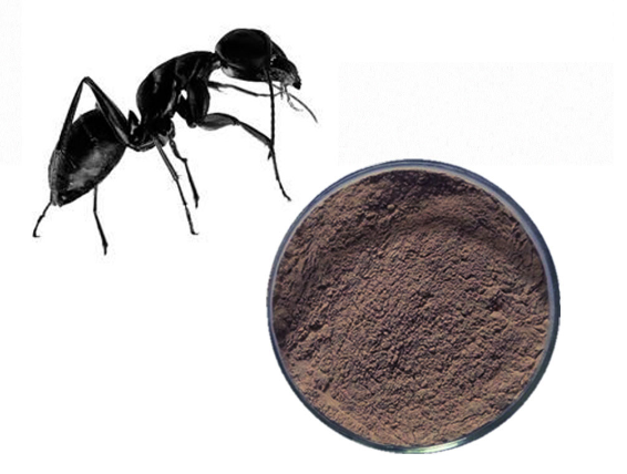 Black Ant extract